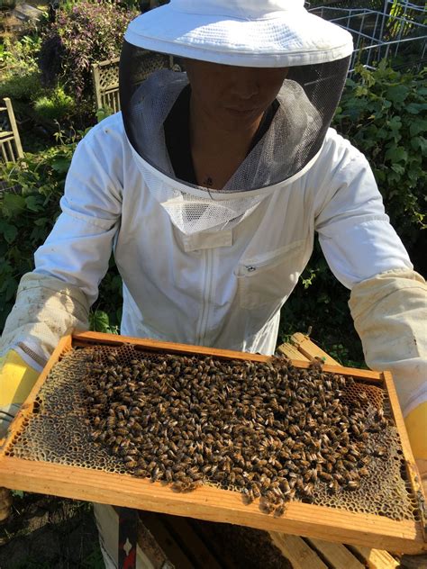 If there is a need, we contact the homeowner and provide early intervention. Great journalist and 3rd generation bee keeper, Meredith ...