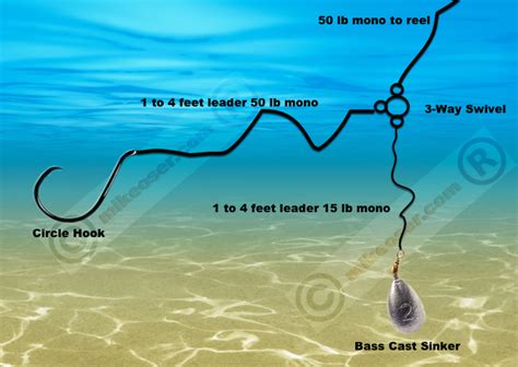 Catfish Rigs-Lake Tawakoni | Blue Catfish Guide James Evans