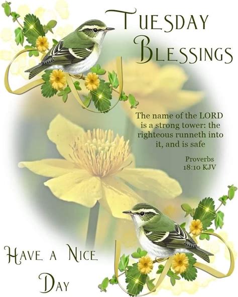 30 Top For Bible Verse Count Your Blessing Tuesday Blessings Poppy