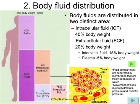 Body Fluid And Electrolyte Balance