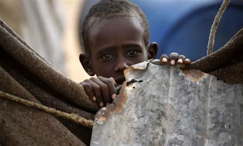 Cerca De 15 Milhões De Crianças Estão Subnutridas E Sem Tratamento Em África O País A