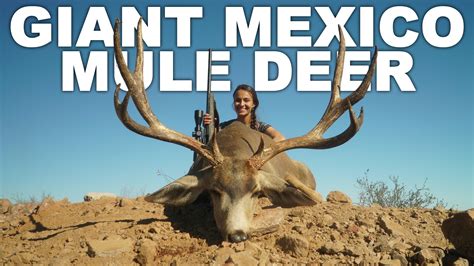 Biggest Mule Deer On Earth — The High Road With Keith Warren