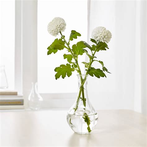 Viljestark Vase Clear Glass Height 6 ¾ Ikea