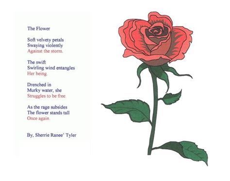 A Drawing Of A Red Rose With Green Leaves And The Poem The Flower