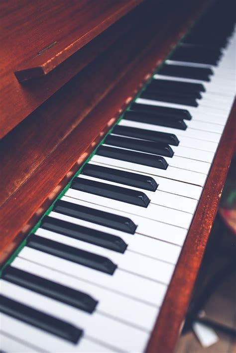 The Piano Keyboard · Free Stock Photo