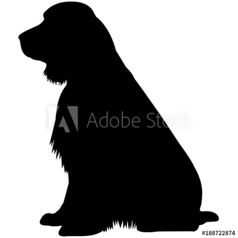 Download English Springer Spaniel Silhouette Vector Graphics - Buy ...