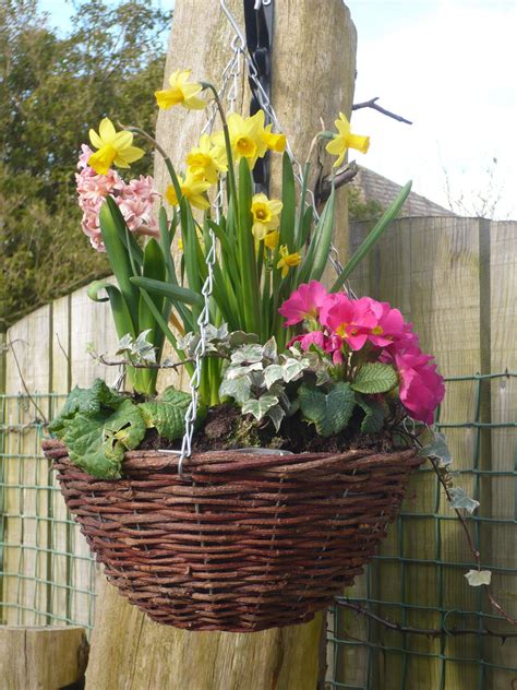 Plants sprout back up after their winter hiatus, birds return home from their southern travels, and. Another one of my spring hanging baskets | Orquídeas ...