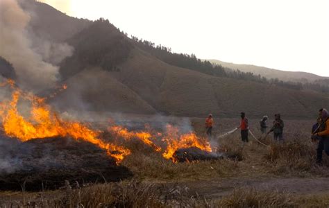 Puluhan Hektar Taman Nasional Bromo Tengger Terbakar - Mongabay.co.id