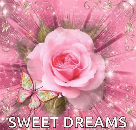 Sweet Dreams Good Night  Sweetdreams Goodnight Rose Discover