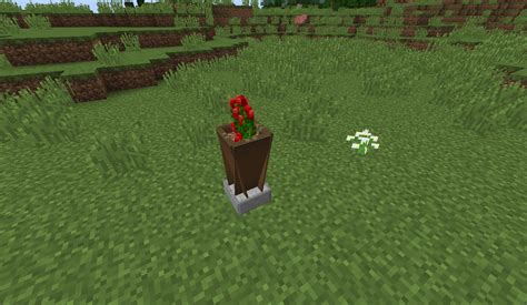 inspiration & tipsfullyspaced shows you how to decorate the interior of you're house and give you so. Garden Decorations | Minecraft.fr