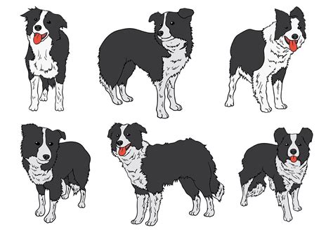 Free Border Collie Icons Vector Choose From Thousands Of Free Vectors