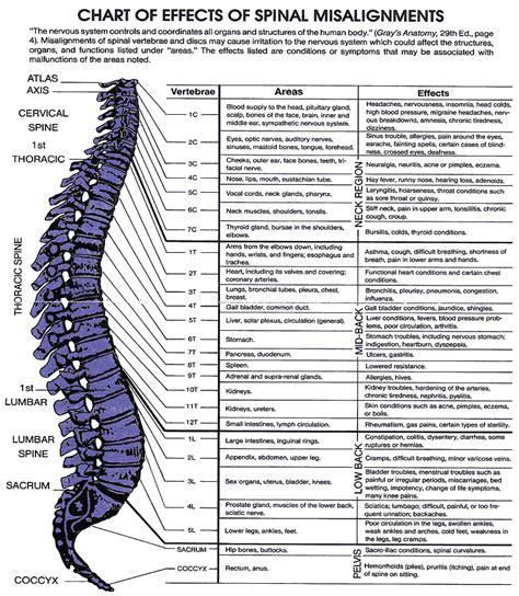 Chiropractic Chart Care Chiropractic Clinic Of Tulsa Oklahoma Dr