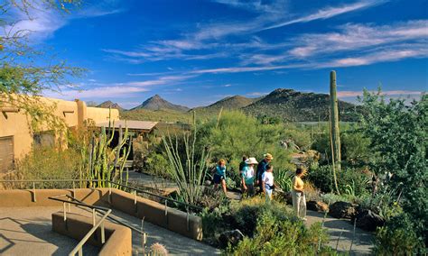 Arizona Sonora Desert Museum © Chuck Haney Chuck Haney Outdoor