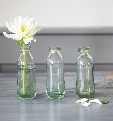 Set Of Three Glass Bottle Vases By The Forest And Co
