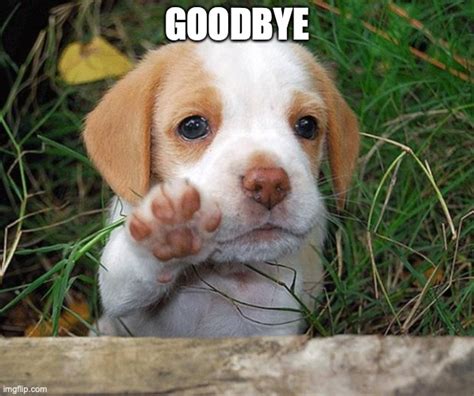 We did not find results for: Goodbye - Imgflip