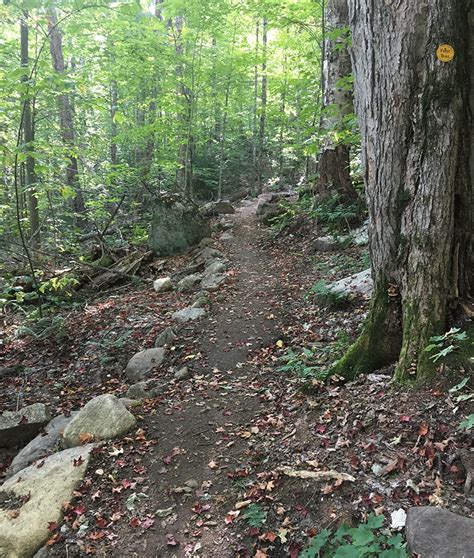 New Hiking Trails In The High Peaks Wilderness Showcase Sustainable