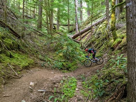 The Ride Exploring The Ford Pinchot National Forest ‘hinterland