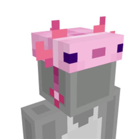 Minecraft Axolotl Transparent