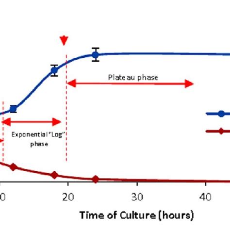 Growth phases in broth culture. Growth curve and culture maintenance, the plot of Leydig ...