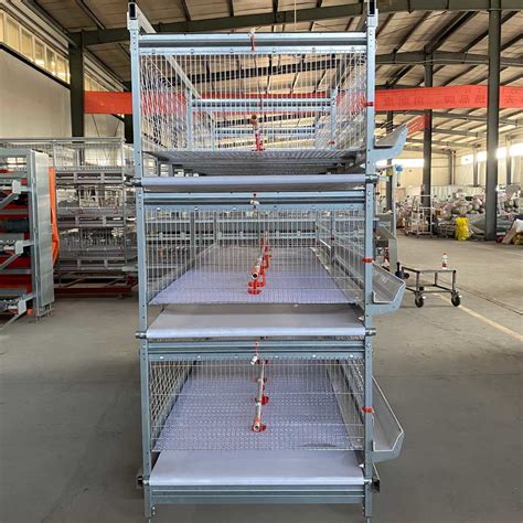 Commercial Chicken Cages For Sale Layer Broiler Brooder