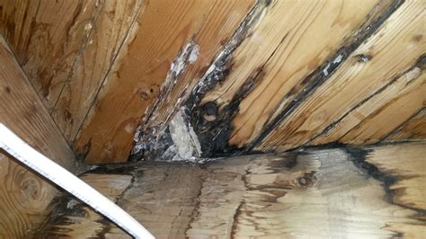 Check spelling or type a new query. Kaysville Utah Water Damage Remediation Services