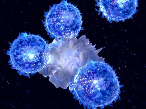 T Helferzellen Bieten Immunität Gegen Viren Wie Sars Cov 2