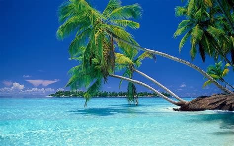 tropical landscape beach scenery wallpaper
