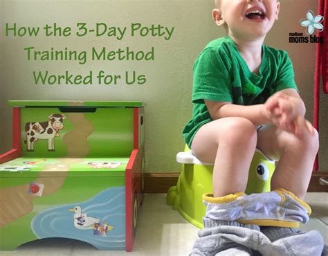 How The 3 Day Potty Training Method Worked For Us