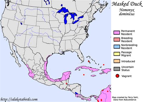 Masked Duck Species Range Map