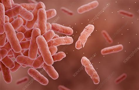 Antibiotics Attacking Bacteria Illustration Stock Image F0377083