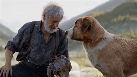 Read common sense media's the call (2020) review, age rating, and parents guide. The Call of the Wild (2020) | Crítica De Cinema ...