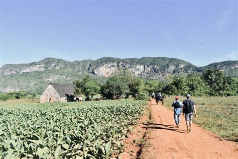 We did not find results for: Best Things To Do In Vinales Cuba - Explore the Beautiful ...