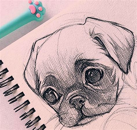 40 Free And Easy Animal Sketch Drawing Ideas And Inspiration Brighter