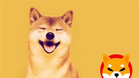 shiba inu ¿volverá a su precio máximo histórico computer hoy