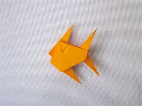Origami Angelfish Anh Dao Origami Angelfish Origami Angel Fish