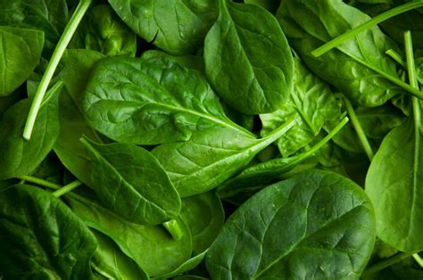 Spinach Nutrition Health Benefits And Diet