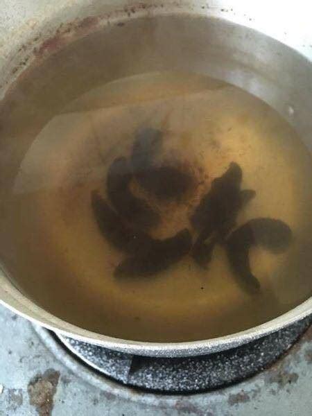 Anjing besar = 2 biji / 3 bulan (>6kg) anak anjing puppy = 1/2 biji @ 1biji produk bagus untuk sibulus anda usah khuatir harga terendah pos pon pantas gud job seller apa. Guna Tiga Bahan Dapur, Buat Untuk Mandi. Petua Hilangkan ...