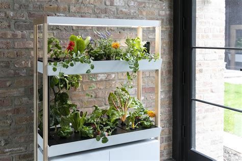 This Modular Hydroponics System Will Give You Fresh Vegetables Year