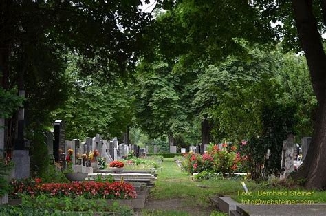 Web Steiner Zentralfriedhof Wien