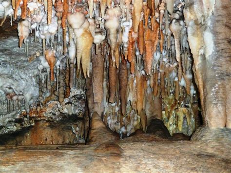 Buchan Caves Reserve - Victoria