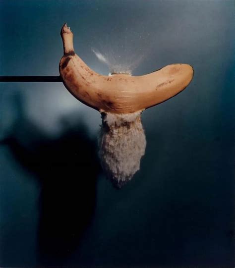 Dr Harold Edgerton Michael Hoppen Gallery Harold Edgerton Edgerton