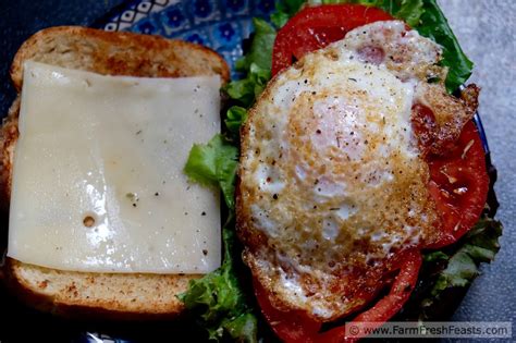 Farm Fresh Feasts Fried Egg Lettuce And Tomato Grilled
