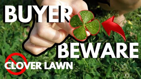 Clover Lawns 101 Youtube
