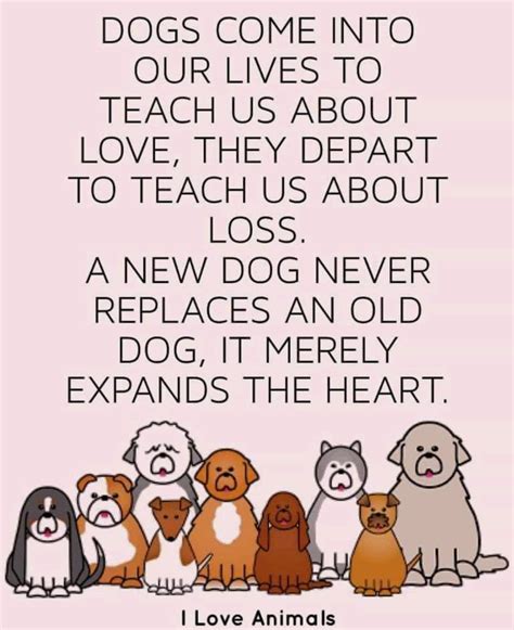 Pin By Marcia Andersen On Quotes Rescue Quotes Animal Rescue Quotes