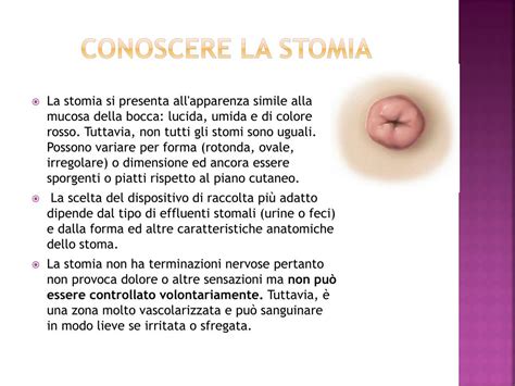 Umożliwia wydalanie moczu lub kału. PPT - LA STOMIA PowerPoint Presentation, free download - ID:5351038