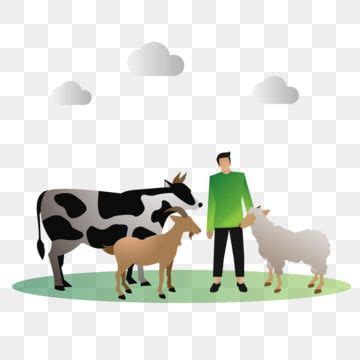 mubarak,kareem,holiday,eid,animal,moslem,goat,collection,nature