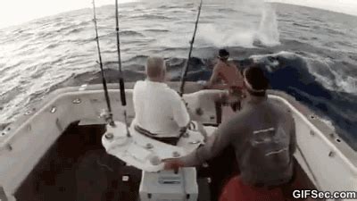 Gif Fishing Fail Gifsec Com Funny Pictures Best Funny Videos Funny Gif