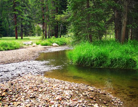 Colorado River Headwaters In Rocky Mountain National Park Photograph By