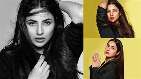 Shehnaaz Gills Unseen Glam Pictures From Dabboo Ratnanis Photoshoot Are BREATHTAKING