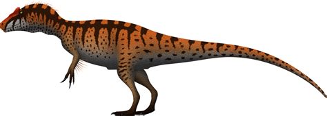 Allosaurus Europaeus By Spinoinwonderland On Deviantart